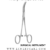 Artery Forceps curved
